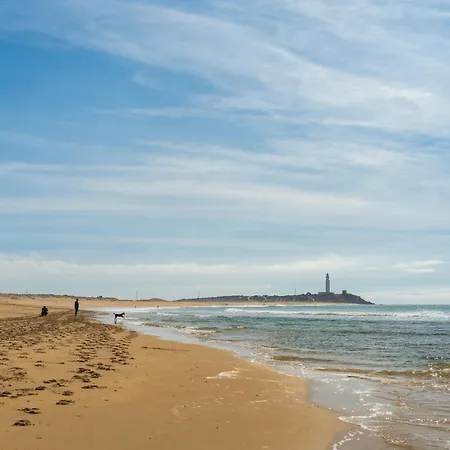 Les Murmures De La Vigne