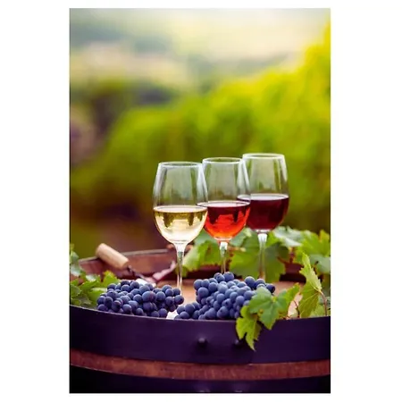 Les Murmures De La Vigne Lägenhet