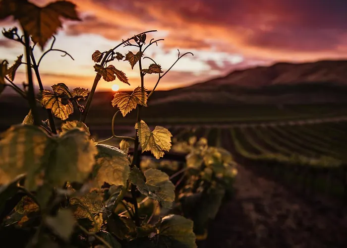 Lejlighed Les Murmures De La Vigne *