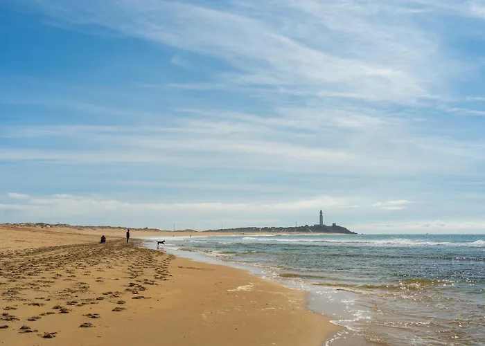 Les Murmures De La Vigne