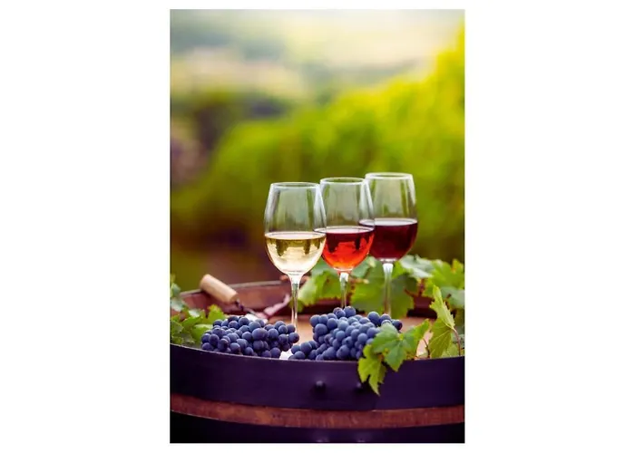 Les Murmures De La Vigne Lejlighed